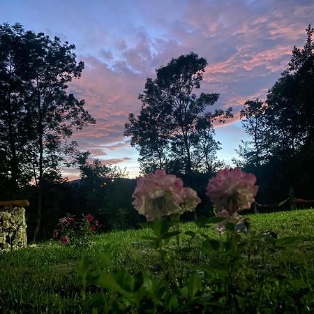 Casutele Din Poienita Villa Comarnic Luaran gambar