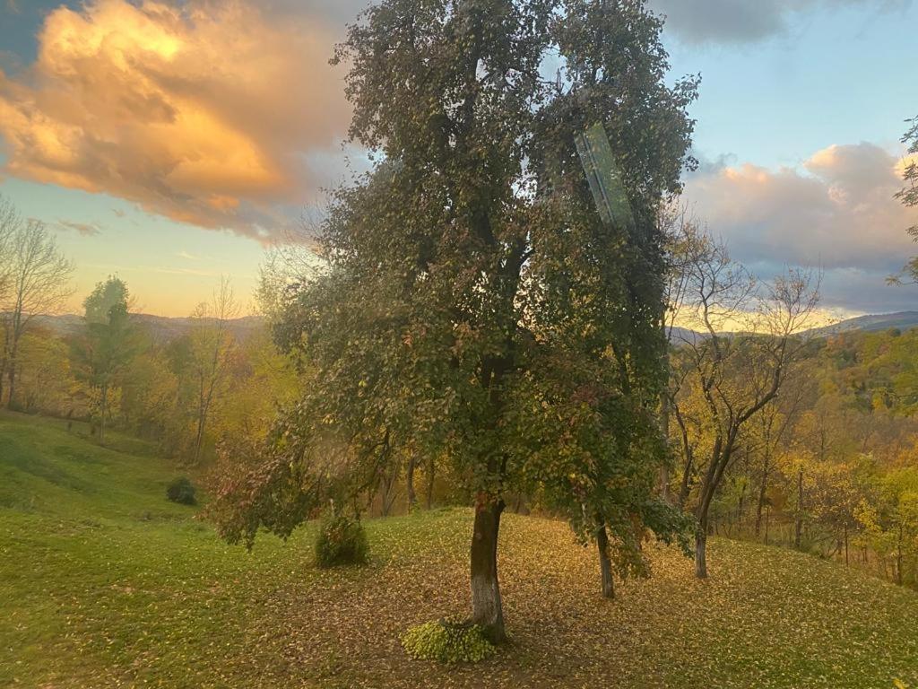 Casutele Din Poienita Villa Comarnic Luaran gambar