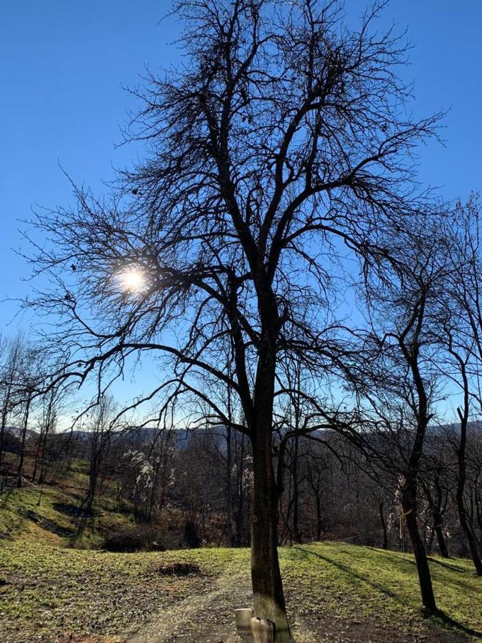 Casutele Din Poienita Villa Comarnic Luaran gambar