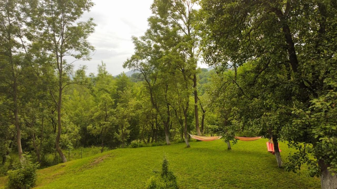 Casutele Din Poienita Villa Comarnic Luaran gambar